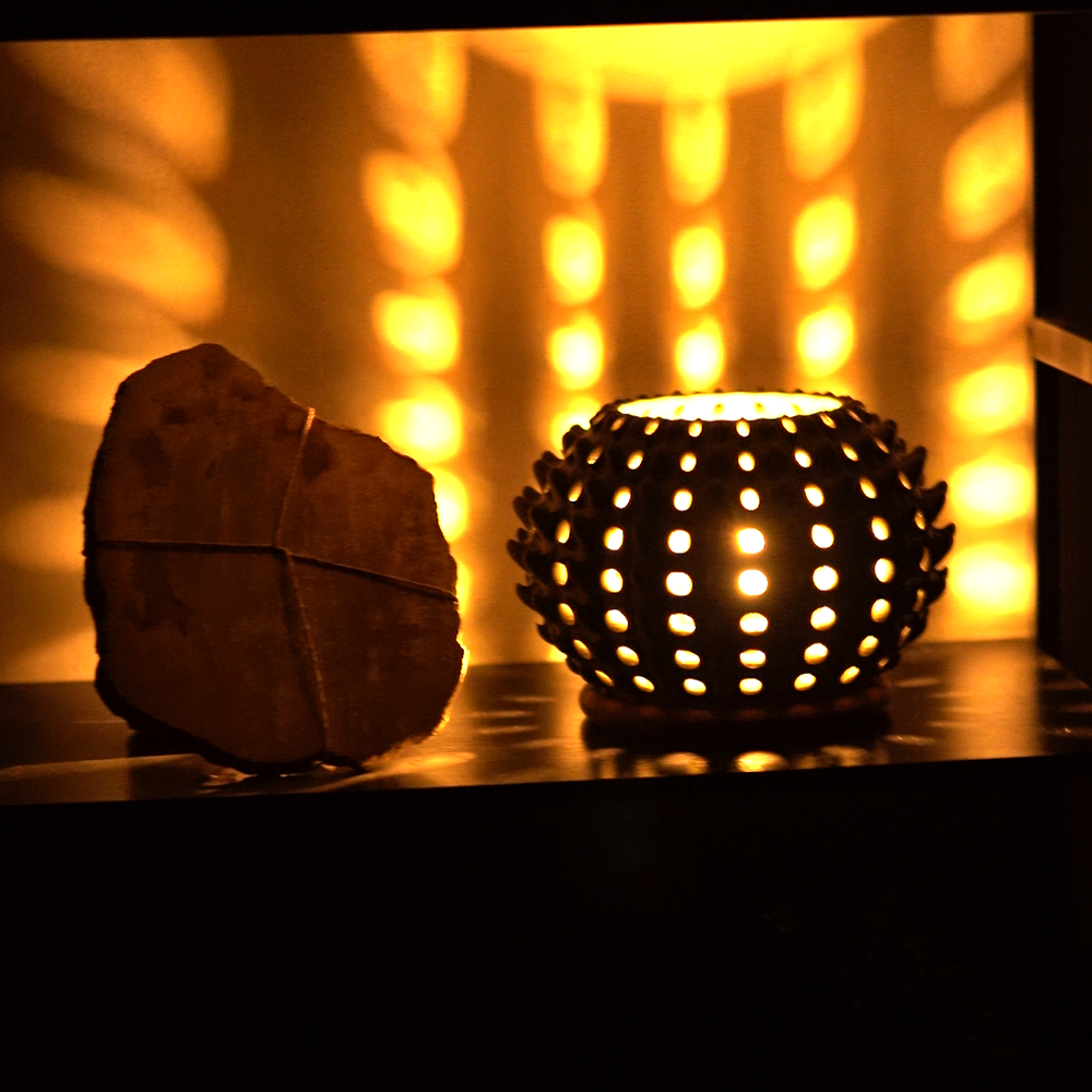 Cactra Lamp