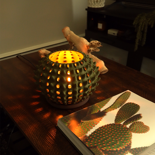 Cactra